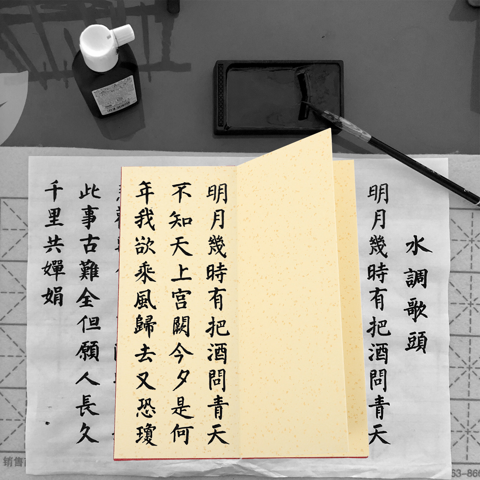 Livro de caligrafia com folhas - Chinese Calligraphy Practice Book avaliação e preço